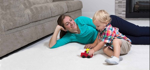 Professional Carpet Cleaning Fraser CO